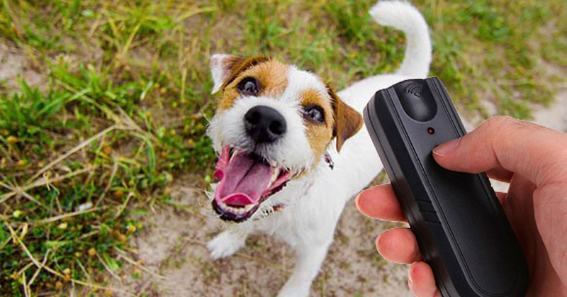 NoBark Ultra